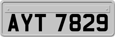 AYT7829