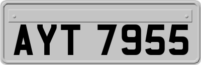 AYT7955