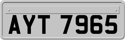 AYT7965