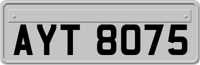 AYT8075