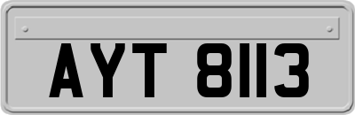 AYT8113