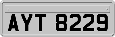 AYT8229