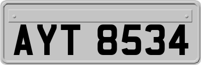 AYT8534