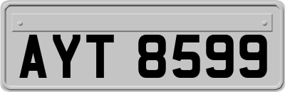 AYT8599