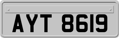 AYT8619