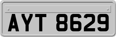 AYT8629