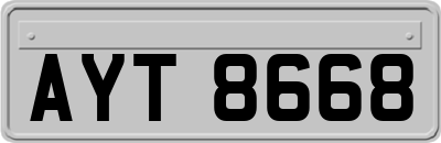 AYT8668