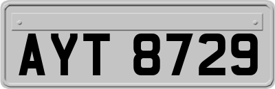 AYT8729