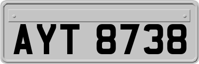 AYT8738