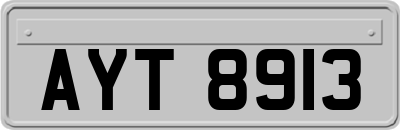 AYT8913