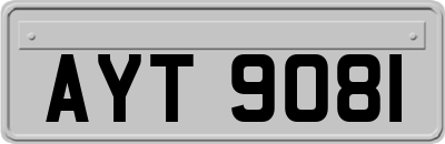 AYT9081