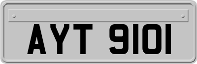 AYT9101
