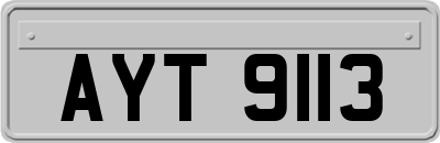 AYT9113