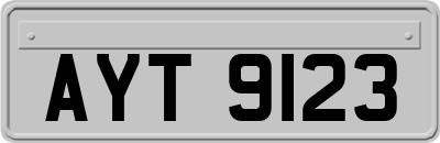 AYT9123