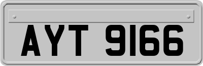 AYT9166