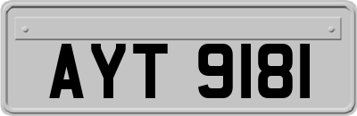 AYT9181