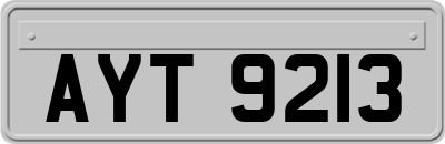 AYT9213