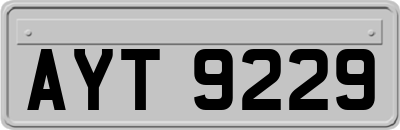 AYT9229