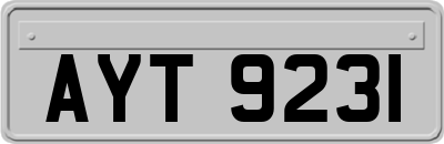 AYT9231