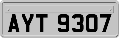 AYT9307