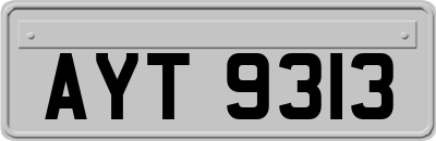AYT9313