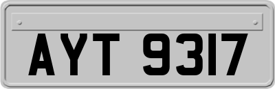 AYT9317