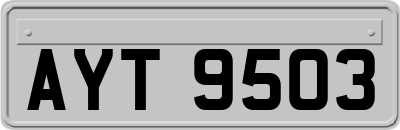 AYT9503
