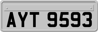 AYT9593