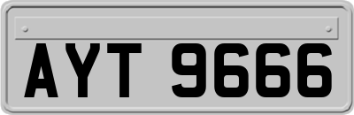 AYT9666