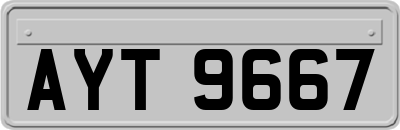 AYT9667