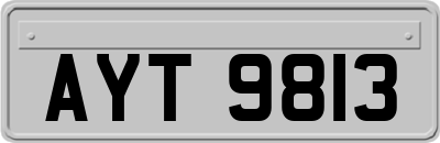 AYT9813