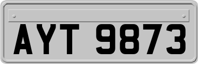AYT9873