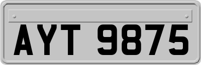 AYT9875