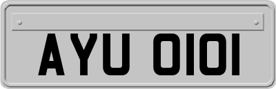 AYU0101