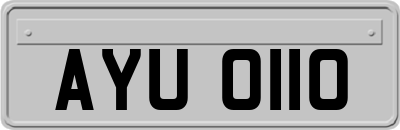 AYU0110