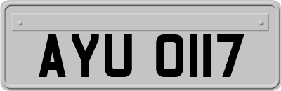 AYU0117