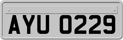 AYU0229