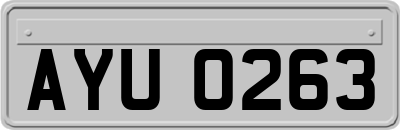 AYU0263