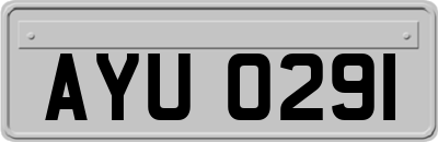 AYU0291