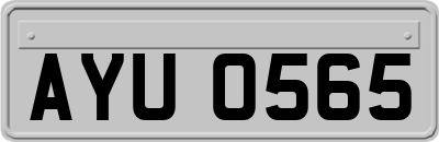AYU0565
