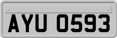 AYU0593
