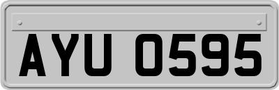 AYU0595