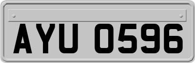 AYU0596