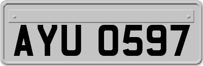 AYU0597