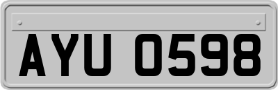AYU0598