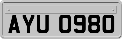 AYU0980
