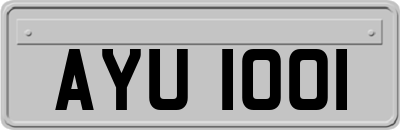 AYU1001