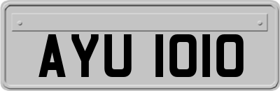 AYU1010