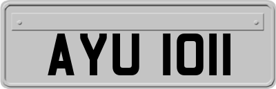 AYU1011