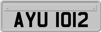 AYU1012